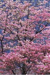 《地球防卫军6》首周销量突破30万 创该系列销售记录